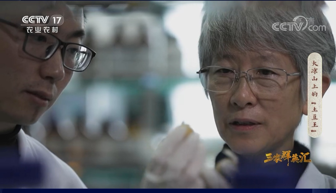 英国上市公司365